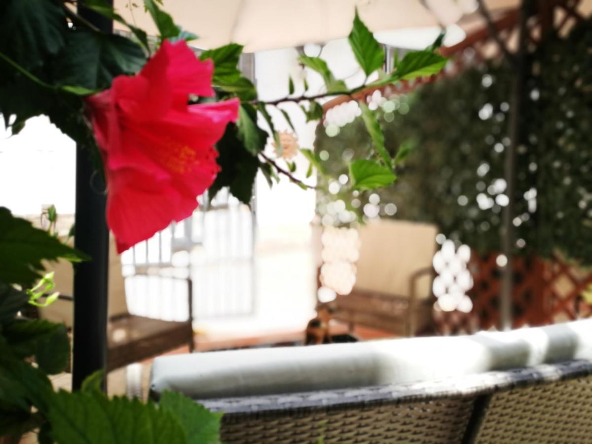 Bed and breakfast Bella Palerme Extérieur photo