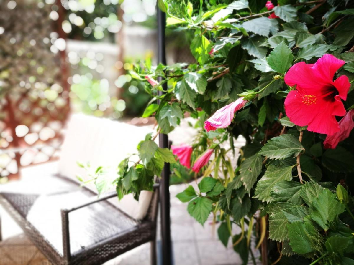 Bed and breakfast Bella Palerme Extérieur photo